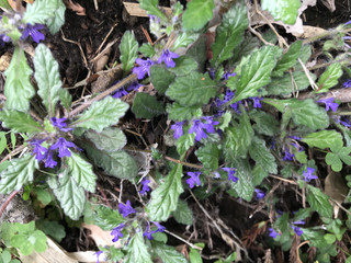 7578892df09447dbb7ea91dd5bd9b4da