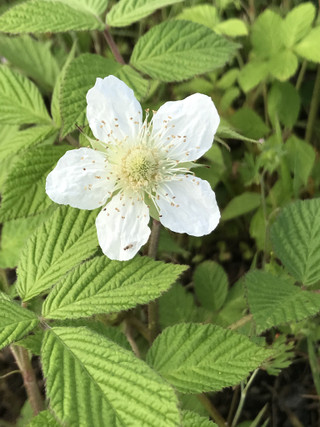 96843034aeee44849b31388d8a94ff69