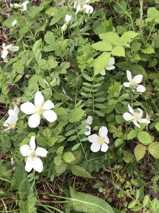 Ca7292964d144d6fa72ca9d0169903de