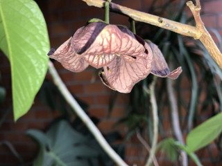 99c596ddc9ee4241892359158732f9b9