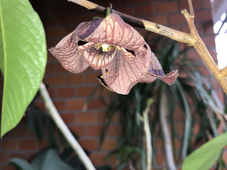 Bee8164f91674624ac8f106cad0cc4d0