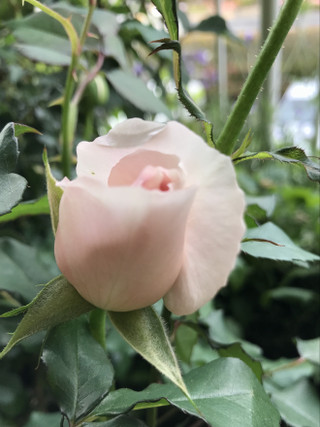 Dd75d74c6a074473b40c98d1a42bfdbe