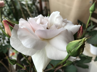 Ea043d2388e7457abc05effe0c7fe7a0