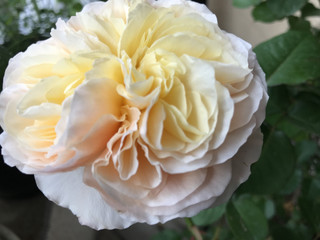 405017c0eb354eb7915d03c41e08d1f8