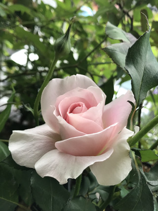 7b884d9bb19545f3bbd9aa0e2a3c54d6