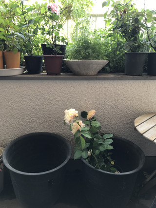 19b72146975c46989db52cbfacc3c378