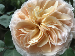 58bd714f744d4832bb8c0f01b7cfad76