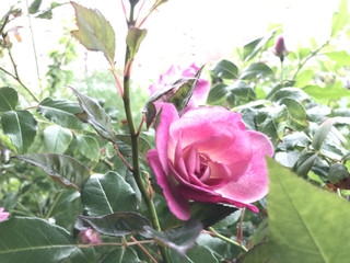 5b8fd929afe34e70874643ece239e771