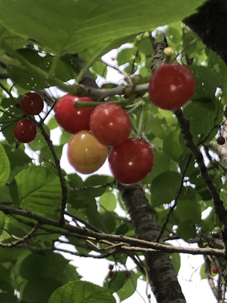 D1caba452b7949d8baa36bc935a39a3f