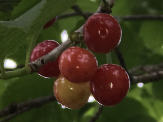 D5ff6913a755437e8b80229f3fe9ddbf