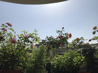 0d31f88b46864fe99d9cb78b4a34ff9e