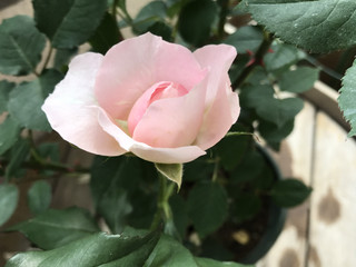 159203ab040548a38aae1f3db5d6b01a