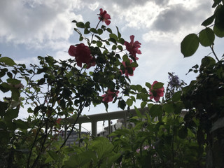 416b13fdd14f4299aacc6b77244633ae