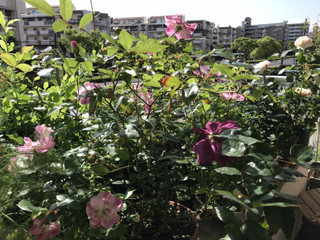 44bc233f8de94df8b233707b25c358d7