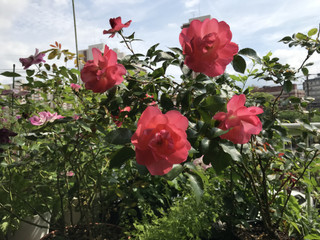 Da3b0b3defad44669c9c3af1bf214ebb