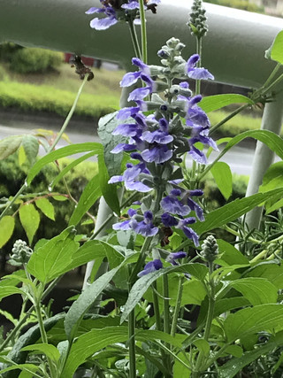 A0049421e82b4634b79d8154bf443f8a