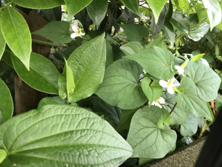 A05f149edb0045dabed276e4bbf16949