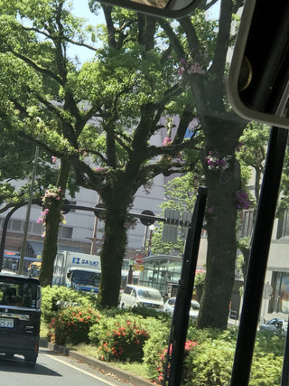 A9de18523de24d24a05212f30c41bfaf