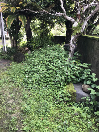 C63b195be85d4ec8addcee63c9ba901c