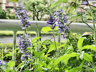 Edbd3ee92c2e4f1d9f5208d183647c1d