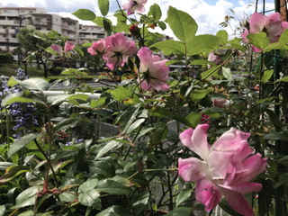 3cd0aa0818e245d1a96ac61aa5bd9d50