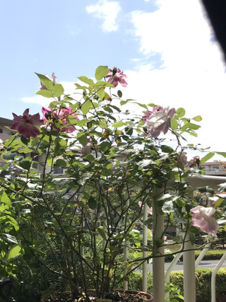 4b5653ea68834d08ac1e5c65d6c43f4e