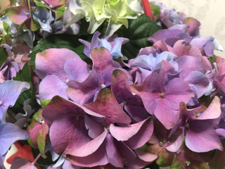 58b7354b10864205acf2c5e261457d80