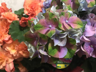 5ccf6e4d3f5f43db9af116c151f1670e