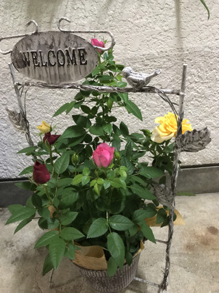 6076b18e323540cbb21527125c634909