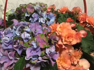 86c4427de1684385944c9cafb87860a5