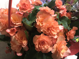 8a88d213d4b74330980534d3d2ee14c2