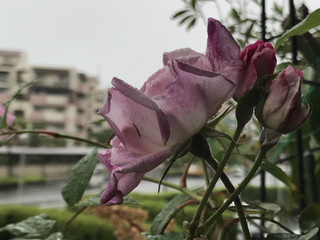 8b63dc2c7cae47f292c7db298a11a1f9