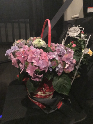 9b422b87596a483e966172d5a87690b7