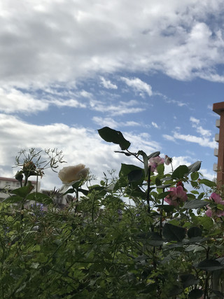 C3f2102464fc4452baa7f04da80ce5d7