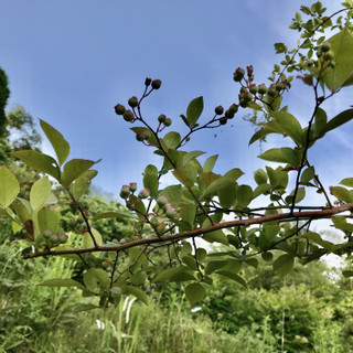 Aca59765eb3642ccb1a421e2be1ac8a4