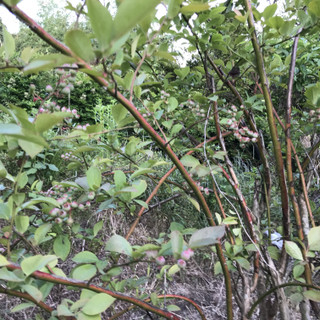 B28b310943e742cd898da301ac39b7cb