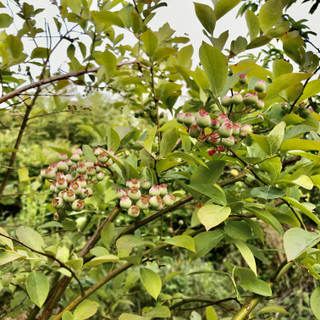 C27b0e04f5c1464b9cdc76862c48dc09