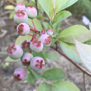 F8c4ee93f0cf469086710e55b2c3bfce