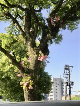 4ba811052072483d90e8d4c1a20636bf