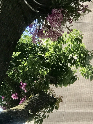 7da75ffe52cc4793b9f5f1a3c0d2d4ab