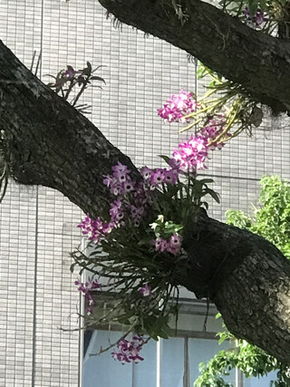 C038e63bc59545f49ad931267263ba6d