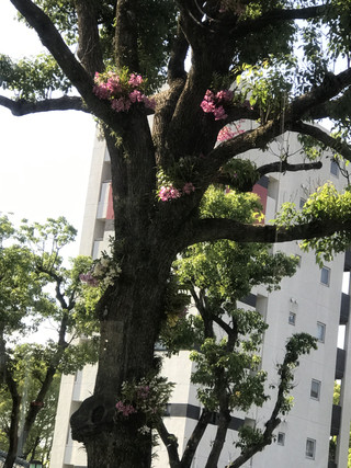 C6b2b00fef114fd783cec2cfac10e6cd