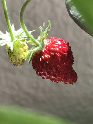 282e490cbd89465aa5b1a328aa9b1ff5