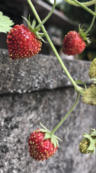 700e7f7448574120961feb58cd3e6bf9