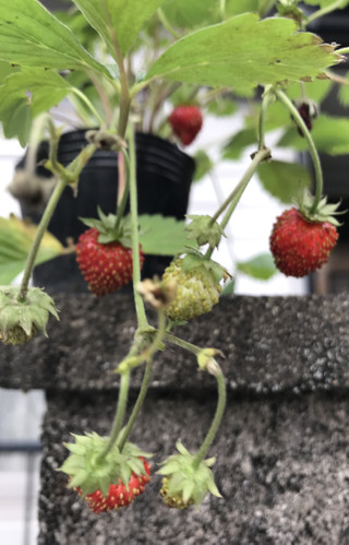 C355c51f9e7d47bb8b1d444ab53fc42f