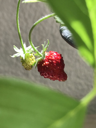 D5f858fe14304f1592bd2382ec5adba4