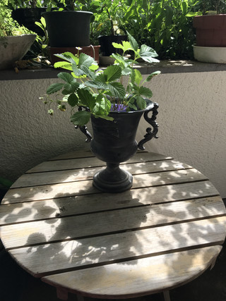 E2b7a382073640f68d353db85ddfc7b2