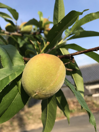 6b81079e06a942d4b9ae57af2e717148