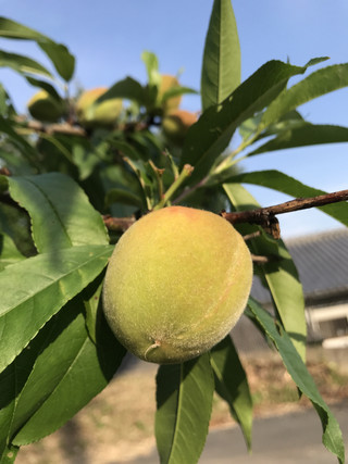 83caa1c94e384e9bab4ff570af923b89