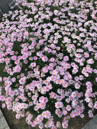 0c076cae098c473586558fc8ae07aff7